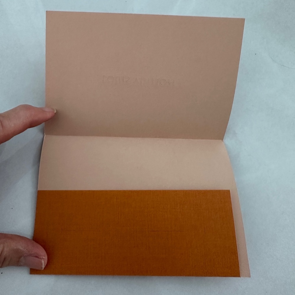 Louis Vuitton Large Shopping Bag and Receipt Holder - Picture 5 of 5